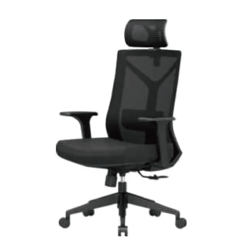Ergonomic High-Back Office Chair with Dual Adjustable Pillows — Breathable Mesh Back & Polished Aluminum Base