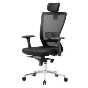 Ergonomic Dual-Zone Mesh Office Chair — Integrated Lumbar Support with Premium Metal Base