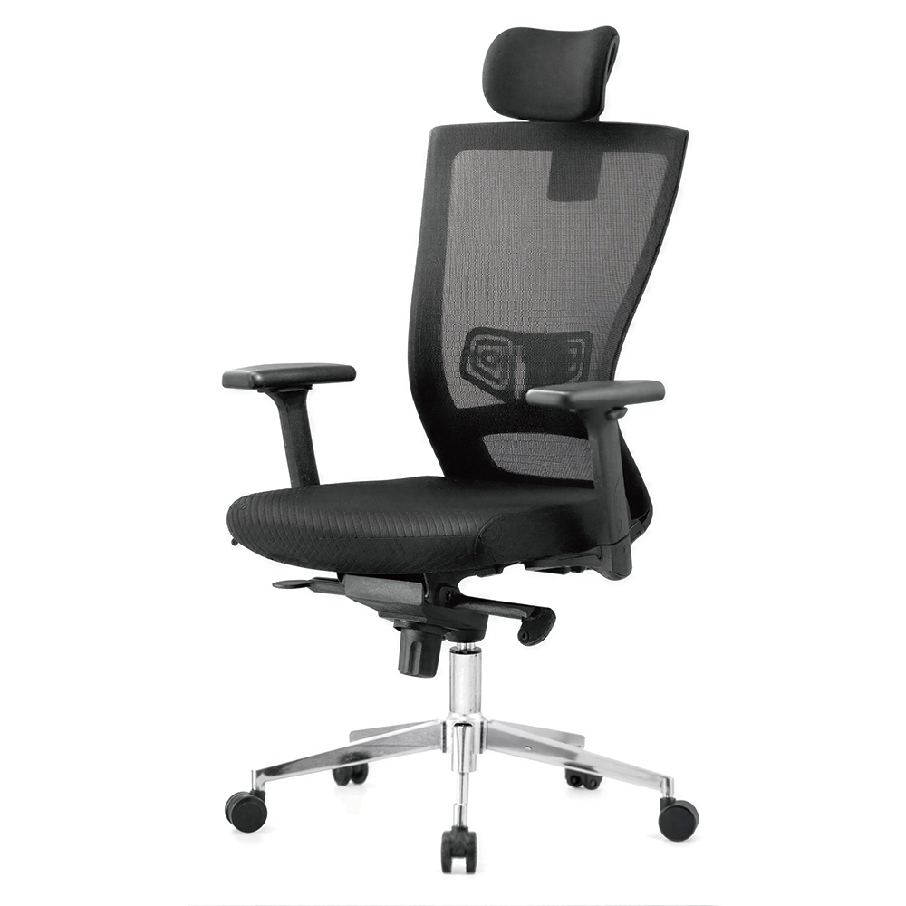 Ergonomic Dual-Zone Mesh Office Chair — Integrated Lumbar Support with Premium Metal Base